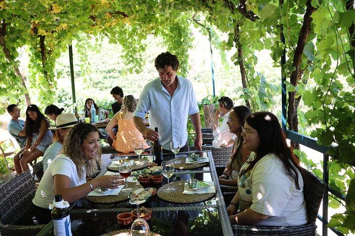 From Porto: Douro Valley, 1–2 Wineries, Farm Lunch & Cruise