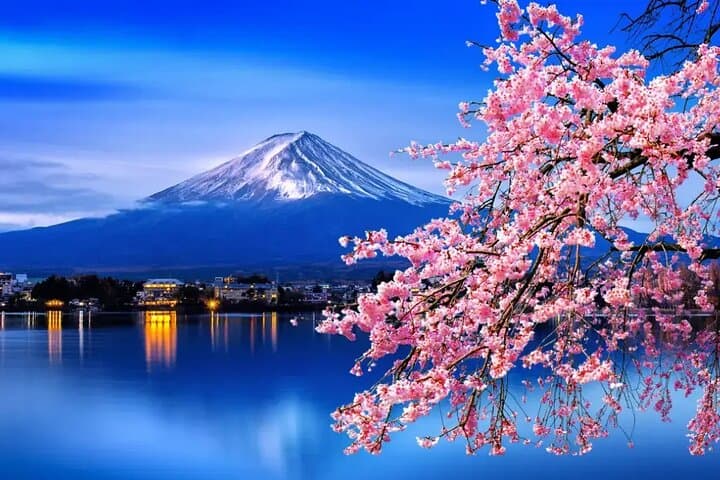 Mt. Fuji Tours with Kawaguchi Lake Ropeway View English Speaking