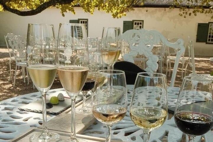Table Mountain, Horseback Mini Safari & Wine Tasting Day Tour
