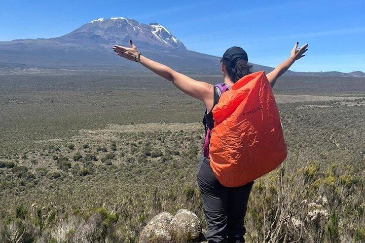 Privat 7 dages Kilimanjaro-klatring via Lemosho-ruten