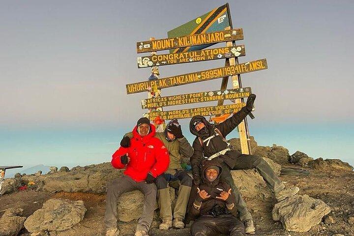 Privat 7 dages Kilimanjaro-klatring via Lemosho-ruten