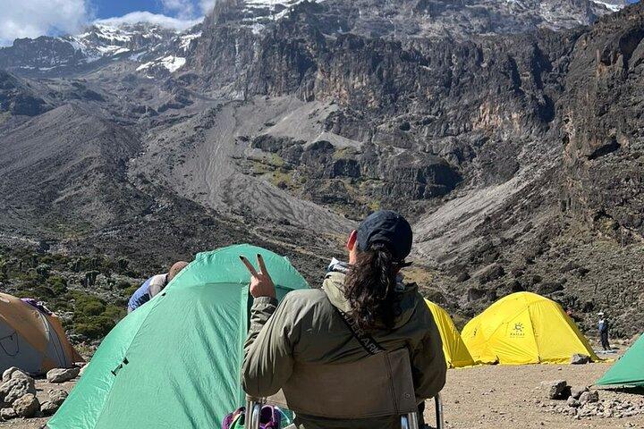 Privat 7 dages Kilimanjaro-klatring via Lemosho-ruten