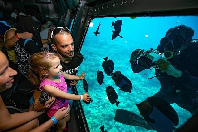 Snorkel Reefs