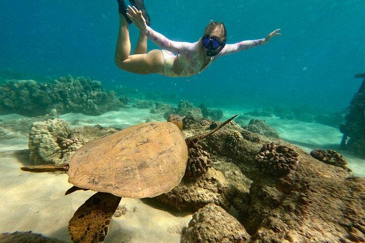 San Juan Guided Turtle Snorkel Tour e vídeos gratuitos