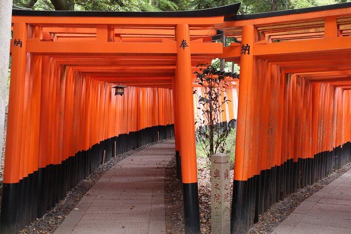 Kyoto-Rundgang zum Fushimi Inari-Schrein und Tofukuji-Tempel