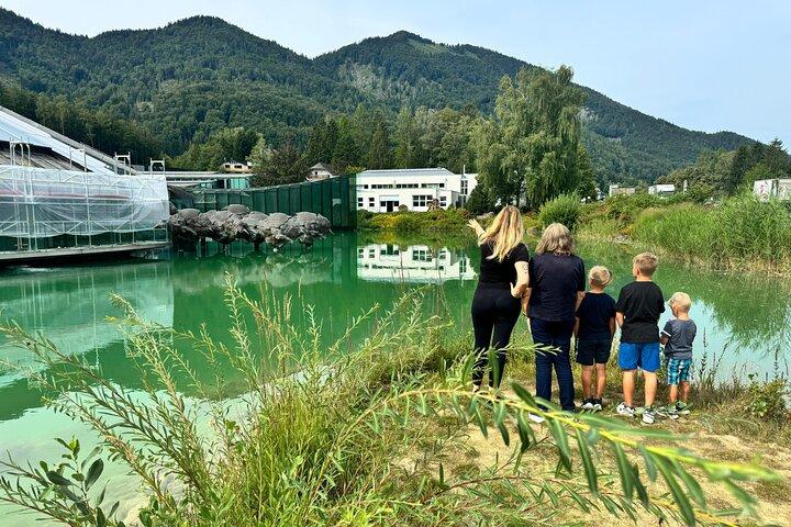 Tour pubblico di 6 ore a Hallstatt da Salisburgo