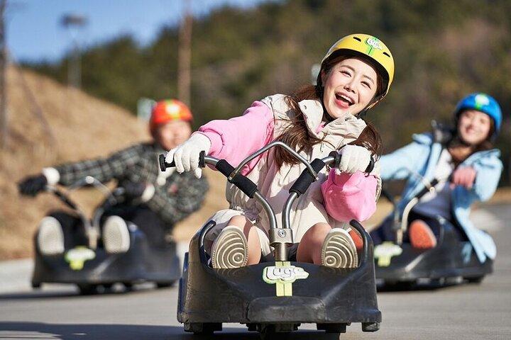 South Korea: Skyline Luge Busan Entry Ticket