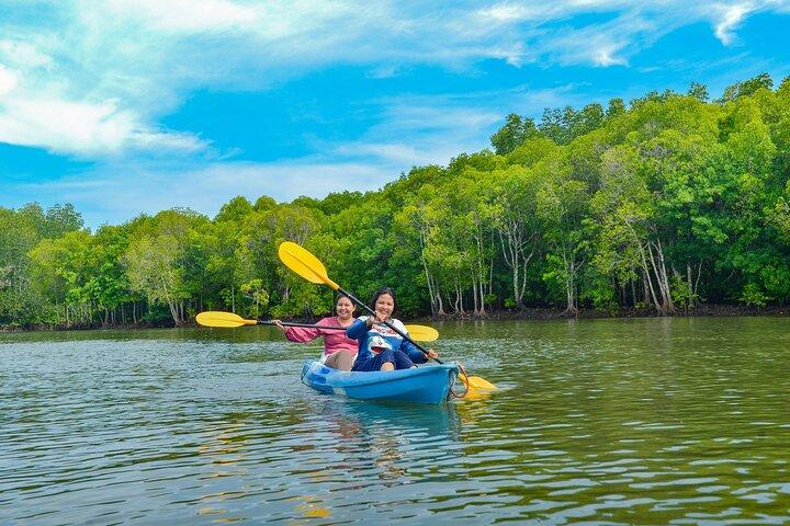Halvdags Mangrove Kajak Adventure Tour fra Koh Lanta