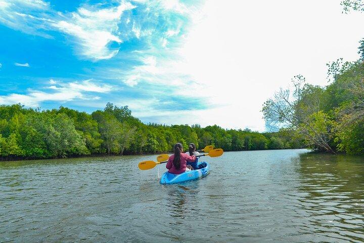 Halvdags Mangrove Kajak Adventure Tour fra Koh Lanta