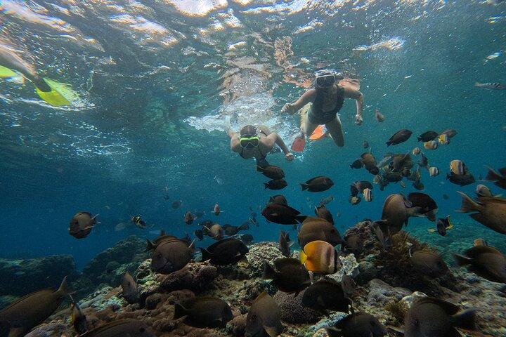 Snorkeling Lembongan en Manta Bay, Crystal Bay y Mangrove