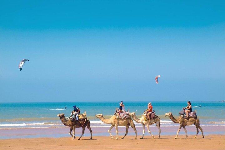 Essaouira Day Trip From Marrakech , Sea and Culture