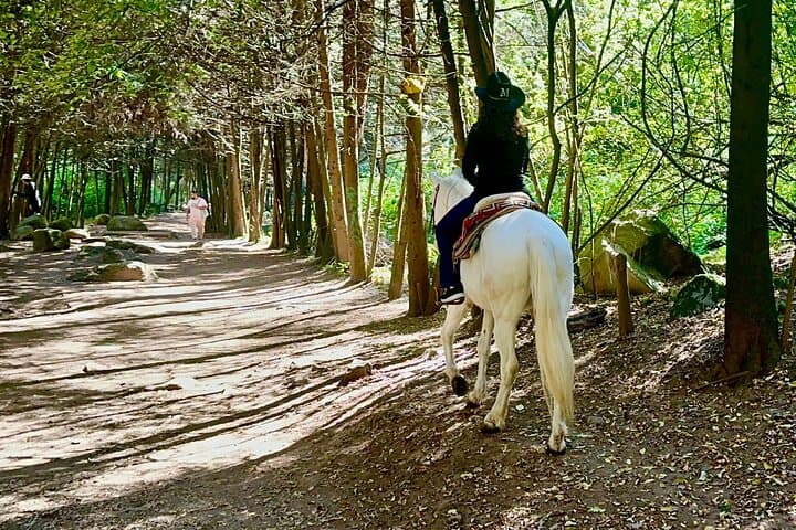 Ride Horses, Learn to Cook with Locals in Mexico City