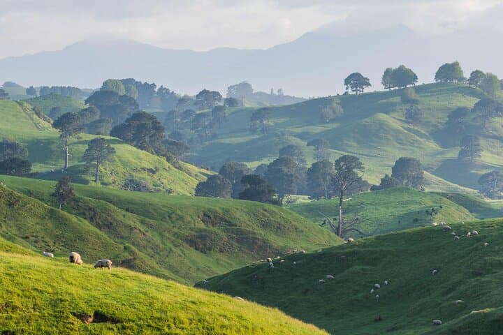 Hobbiton and Waitomo Caves Small Tour from Auckland