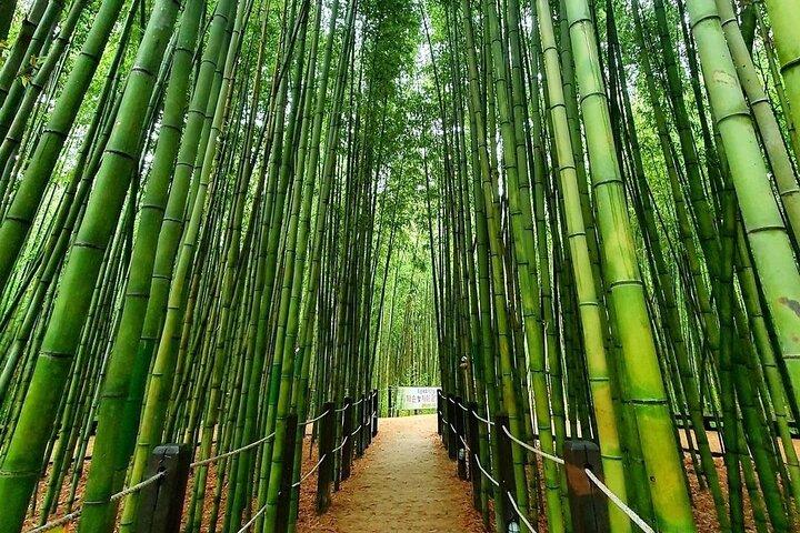 Ulsan Full Day Private Car Tour from Busan with a Certified Guide