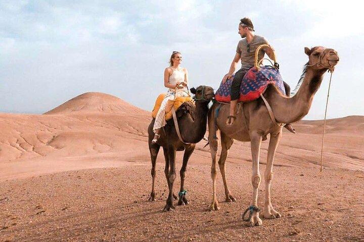 Uma hora de aventura de cavalgada de camelo com transferência em Sharm El Sheikh