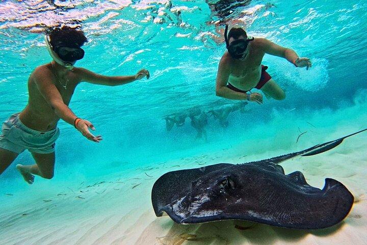El Cielo Cozumel Snorkel Tour privato Big Group + Cibo Bevande