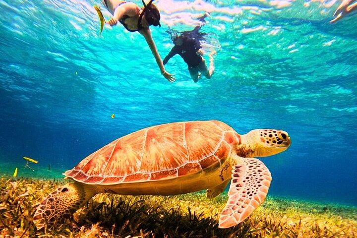 El Cielo Cozumel Snorkel Tour privato Big Group + Cibo Bevande