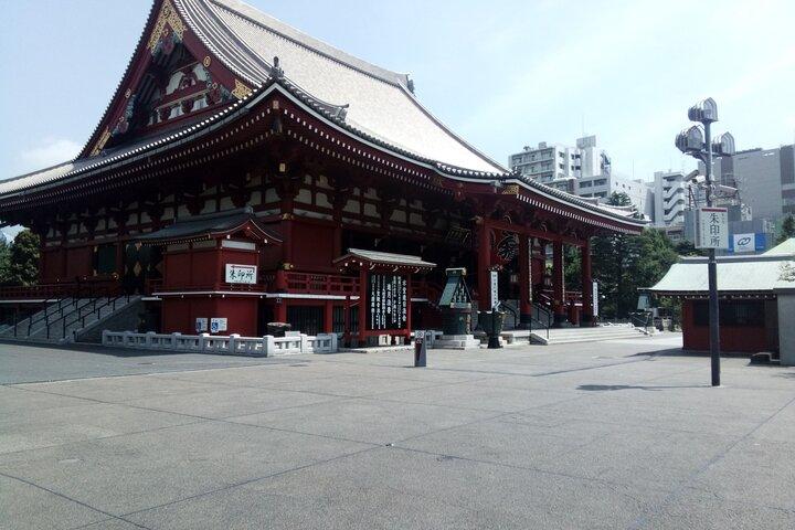 Tour privato di Tokyo con una guida di lingua francese