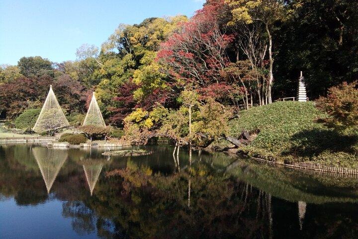 Tour privato di Tokyo con una guida di lingua francese