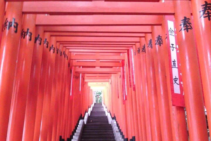 Tour privato di Tokyo con una guida di lingua francese