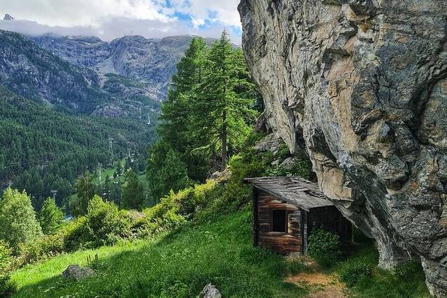 Alpine Trails