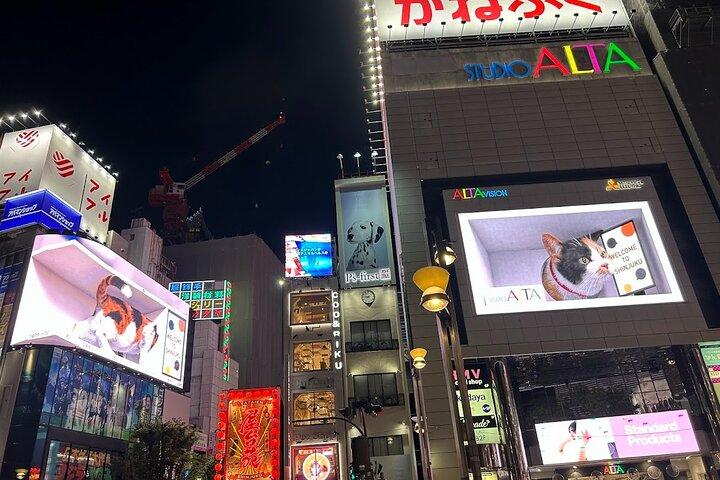Tokyo Private City Tour