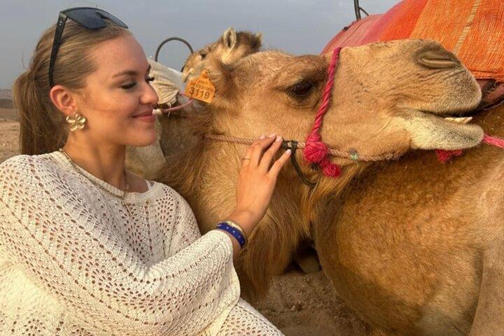 Quad Bike, Camel Ride, Dinner with Show & sunset in Agafay Desert