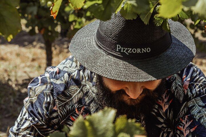 Cantina Pizzorno con Pranzo e Degustazione