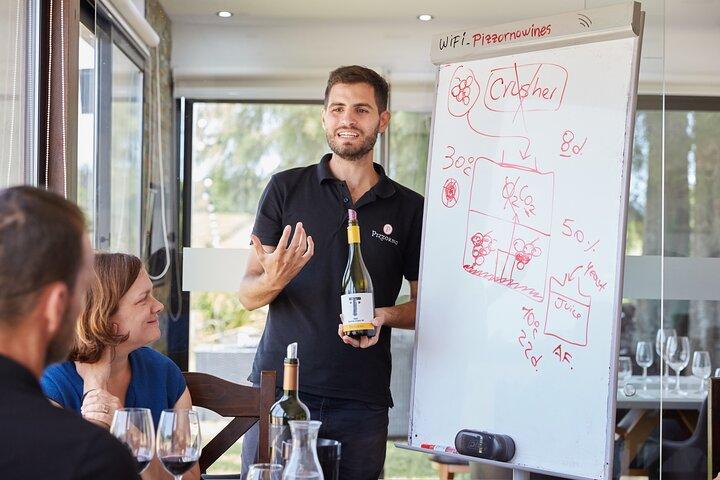 Cantina Pizzorno con Pranzo e Degustazione