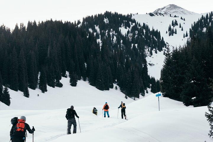 1-day Backcountry Tour