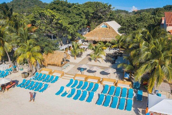 Cosas que hacer cerca de Day Pass & Sloth Monkey Park
