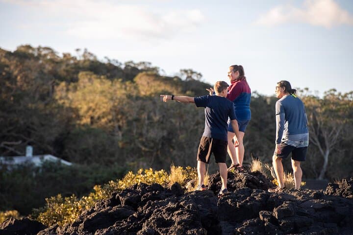 Day sea kayak tour Rangitoto Island