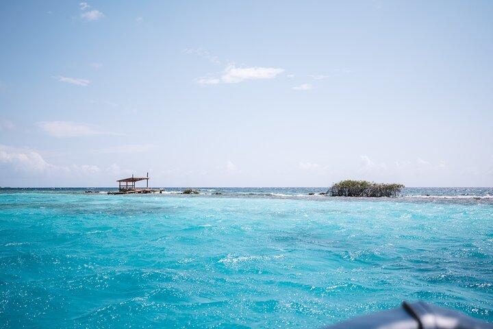 Experiencia privada de medio día de snorkel y manglares — anfitrión local