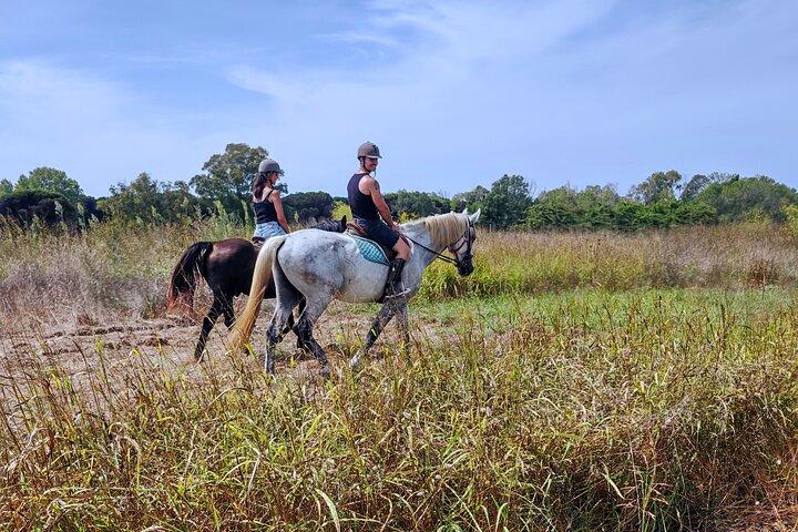 Santuario dei cavalli & Trail Ride