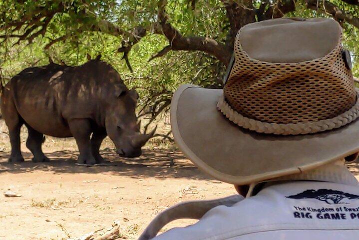 Excursión privada guiada de día completo al parque Mkhaya
