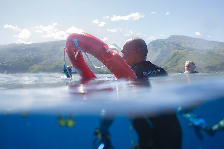 Snorkeling immersion in the wonders of Tahiti