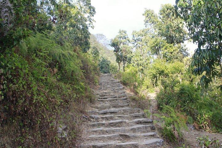 2 Day Australian Camp Hiking with Half Day White Water Rafting