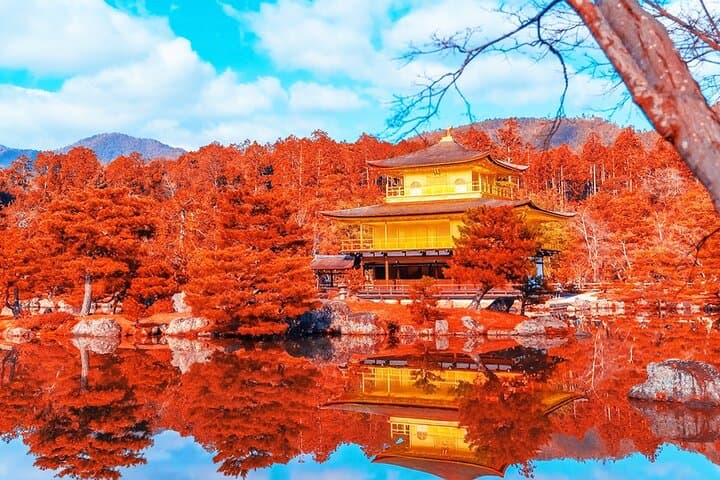 Kyoto Full day Tour Kinkakuji, Kiyomizu-dera and Fushimi Inari