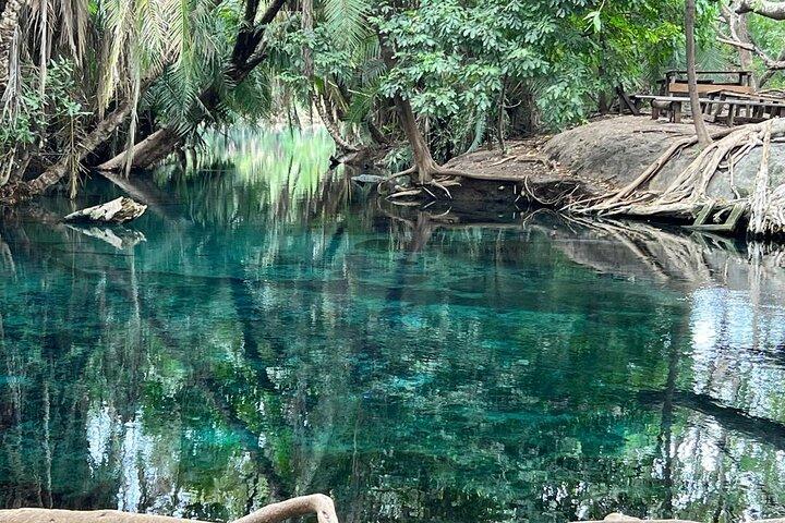 1 Dia Materuni Waterfalls, Tour de Café e Chemka Hot Spring