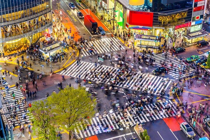 Tokyo Small Group Tour with Guide