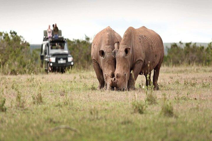 6-tägige private Nashorn-Schutzsafari in Kenia