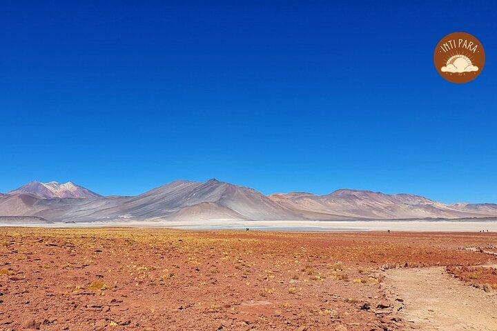 Rote Steine und altiplanische Lagunen