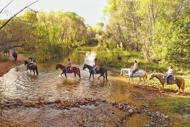 Horseback Riding