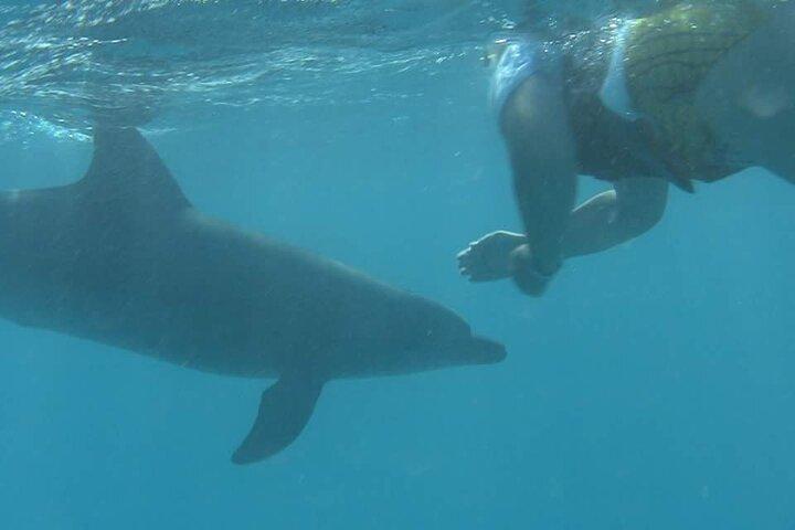 De Hurghada : Dolphin House Snorkeling Boat Tour avec déjeuner