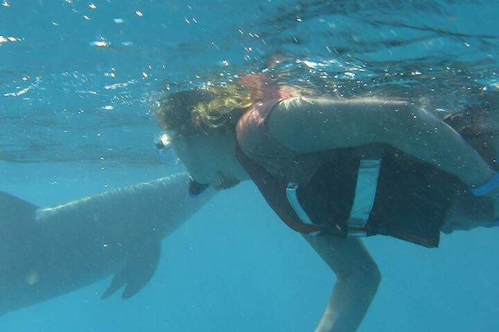 De Hurghada : Dolphin House Snorkeling Boat Tour avec déjeuner