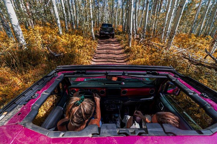 Early Season Special: Naturskön Jeep Tour