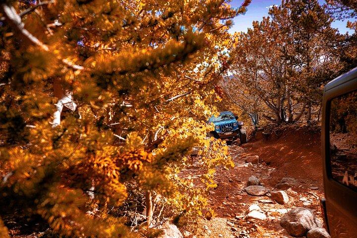 Early Season Special: Naturskön Jeep Tour