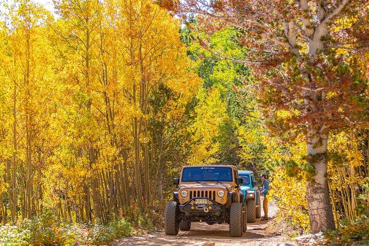 Early Season Special: Naturskön Jeep Tour