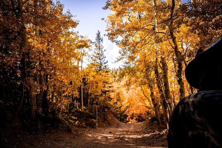 Early Season Special: Naturskön Jeep Tour