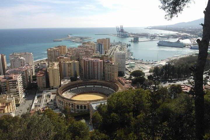 Privé dagtocht naar Ronda en Malaga vanuit Sevilla